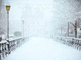 road covered by snow near vehicle traveling at daytime