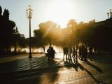 silhouette photo of people at park during golden hour
