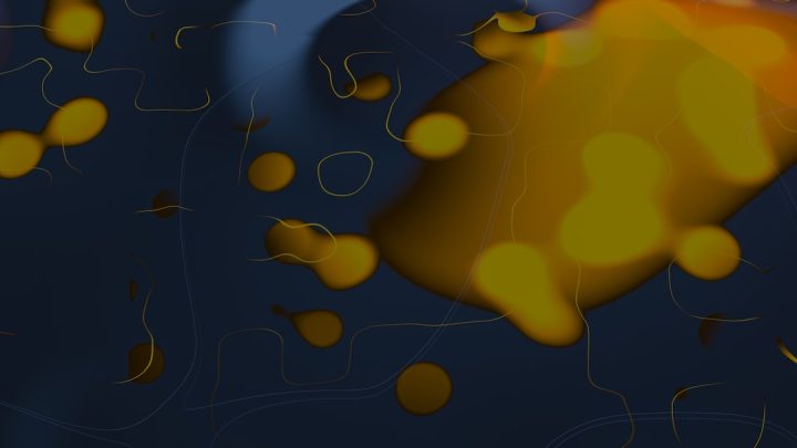 Aplikacje pogodowe offline: Czy są skuteczne i jakie wybrać na wyjazdy bez zasięgu?