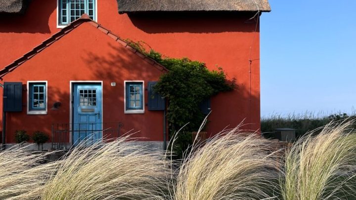 Jak prawidłowo zabezpieczyć dom i ogród przed silnym wiatrem i wichurami?