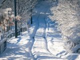 A serene snow-covered path flanked by frosty trees on a clear winter day.