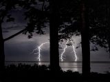 silhouette of trees near body of water during night time