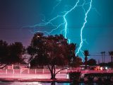 green tree across lightning bolt