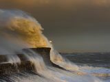 ocean wave