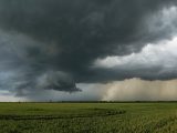 A panoramic shot of a vast green field under dramatic storm clouds, showcasing rural beauty.