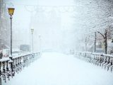 road covered by snow near vehicle traveling at daytime