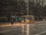 a group of people walking in the rain with umbrellas