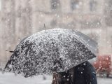 person holding black umbrella