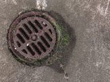 Close-up photo of a rusty drain grate with moss, offering a textured urban look.