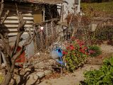 blue plastic trash bin beside white wooden fence