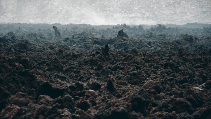 Dlaczego po deszczu pachnie ziemią? Nauka stojąca za zapachem petrichor