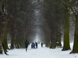 people walking on icy surface