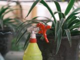 a yellow spray bottle with a red sprayer on top of it