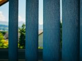 Through blue blinds view on green trees growing in yard of home located in suburb