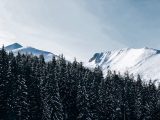 A breathtaking view of snow-covered mountains and pine trees in Bansko, Bulgaria.
