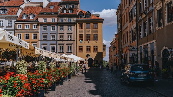 Jakie są najlepsze gatunki roślin odpornych na suszę i zmiany klimatyczne w Polsce?