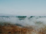 Serene rural landscape with fog over fields and small houses in the distance.