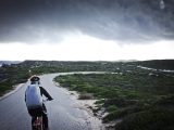 person riding bicycle near grass