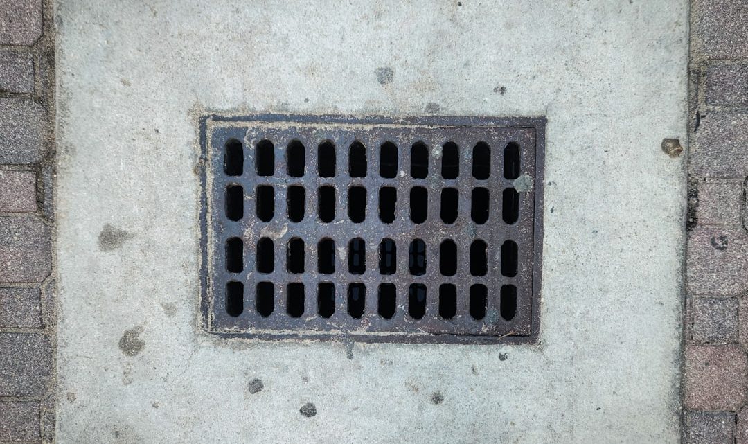 Prognozowanie powodzi i osuszanie terenu: Jakie są sprawdzone metody radzenia sobie z nadmiarem wody po ulewach?
