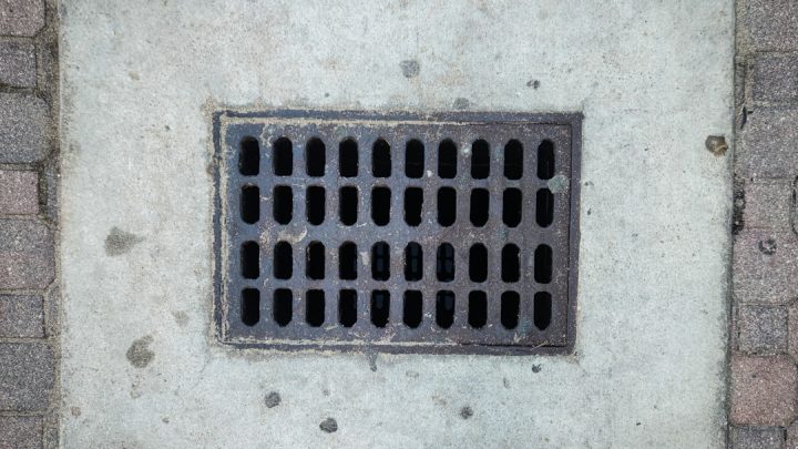 Prognozowanie powodzi i osuszanie terenu: Jakie są sprawdzone metody radzenia sobie z nadmiarem wody po ulewach?