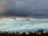 green trees under white clouds during daytime