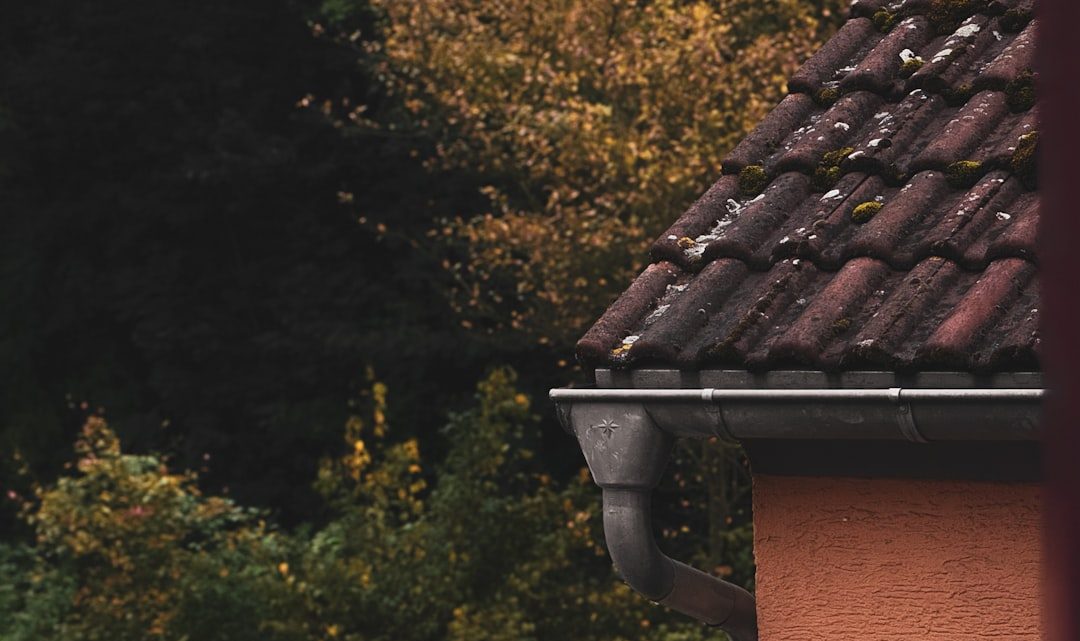 Systemy odwodnienia terenu wokół domu: Jak chronić fundamenty przed wodą opadową i roztopową?