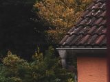Close-up of a house roof with autumn trees in background