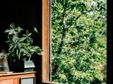 A sunlit room with a Malabar Chestnut plant and open window offering a view of lush green trees.