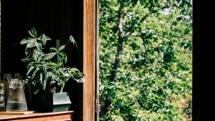 Wpływ pogody na zapach w domu: Jak wilgotność, ciśnienie i wiatr wpływają na świeżość powietrza i jak temu zaradzić?