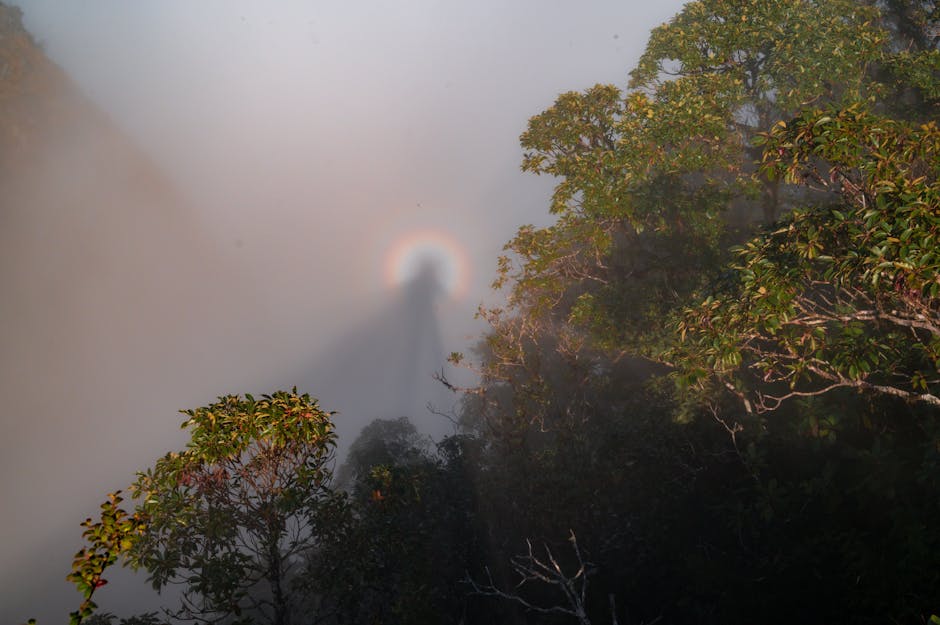 Zjawiska optyczne w atmosferze: Halo, wieniec i widmo Brockenu – jak je obserwować i czym się różnią?