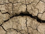 Close-up of cracked earth highlighting drought and climate change in Chitrashali, India.