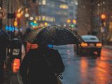 person walking on street and holding umbrella while raining with vehicle nearby