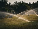 Sprinklers watering a green park in İstanbul, creating a refreshing summer atmosphere.