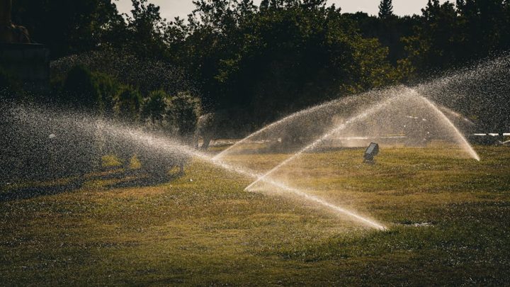 Nawadnianie miejskich terenów zielonych w obliczu zmian klimatu: strategie oszczędzania wody i wyboru roślin