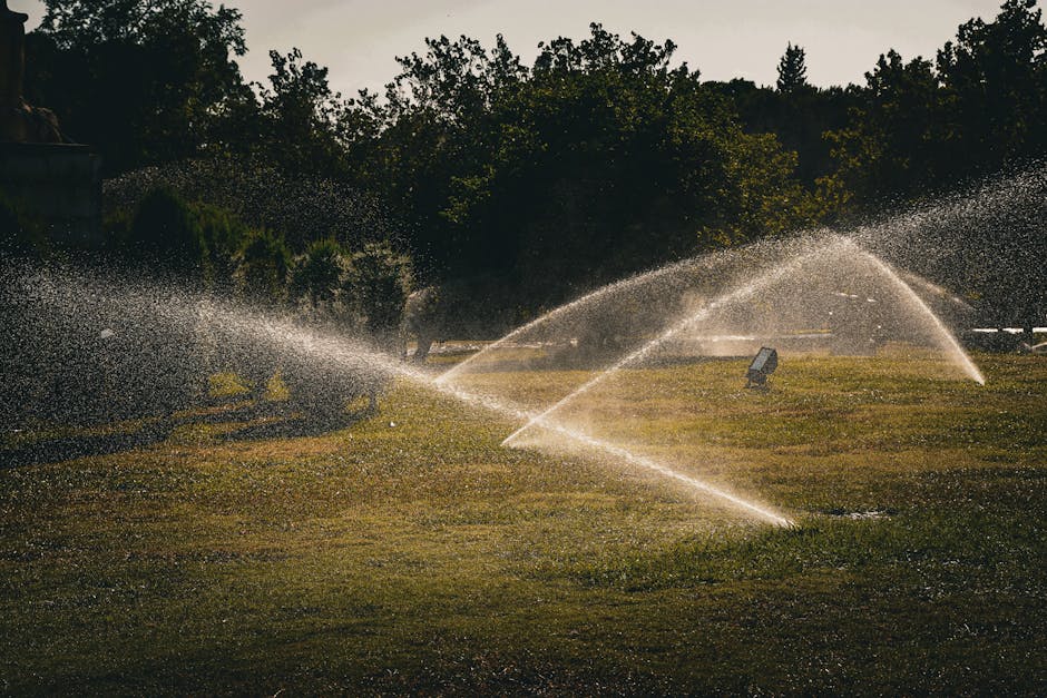 Nawadnianie miejskich terenów zielonych w obliczu zmian klimatu: strategie oszczędzania wody i wyboru roślin