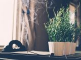 A peaceful indoor setting featuring a potted plant and burning incense stick with smoke.