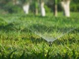 A sprinkler system watering a lush green grass field outdoors during daytime.
