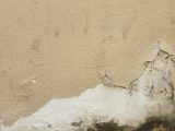 a bird is perched on the corner of a wall