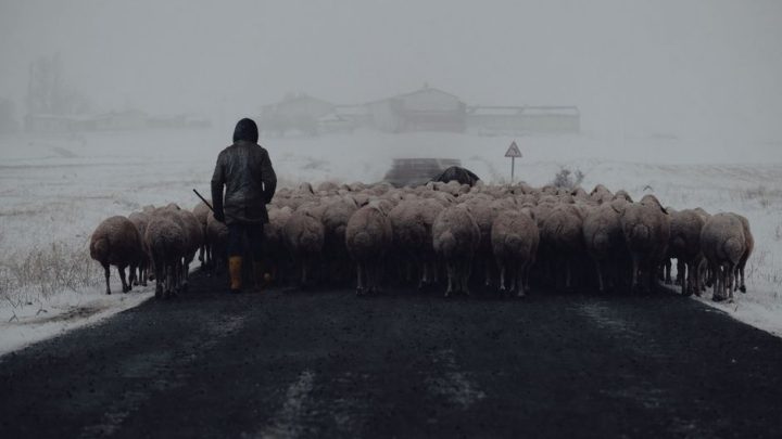 Wpływ pogody na jakość powietrza w miastach i na wsi: Dlaczego czujniki pokazują różne wartości w zależności od lokalizacji?