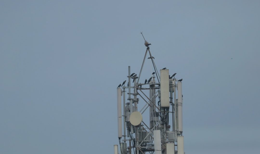 Jak pogoda wpływa na jakość sygnału sieci 5G w miastach i na obszarach wiejskich? Poradnik dla użytkowników smartfonów (Kategoria: Pogoda)
