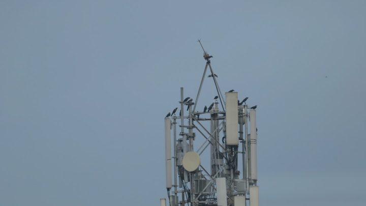 Jak pogoda wpływa na jakość sygnału sieci 5G w miastach i na obszarach wiejskich? Poradnik dla użytkowników smartfonów (Kategoria: Pogoda)