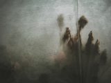a blurry photo of a group of dead plants