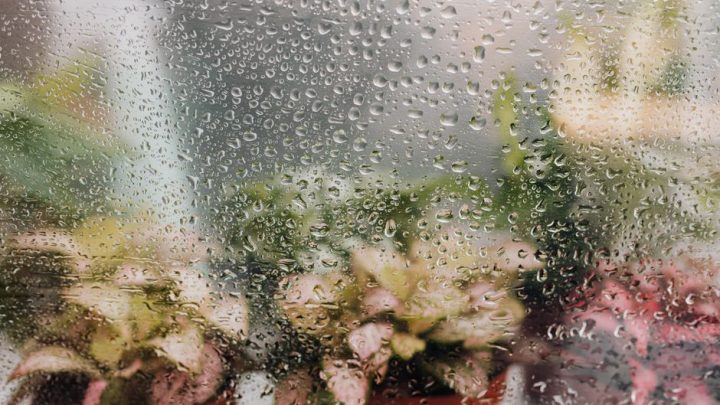 Jak radzić sobie z wysoką wilgotnością w domu latem bez klimatyzacji? Praktyczne metody chłodzenia i osuszania powietrza.