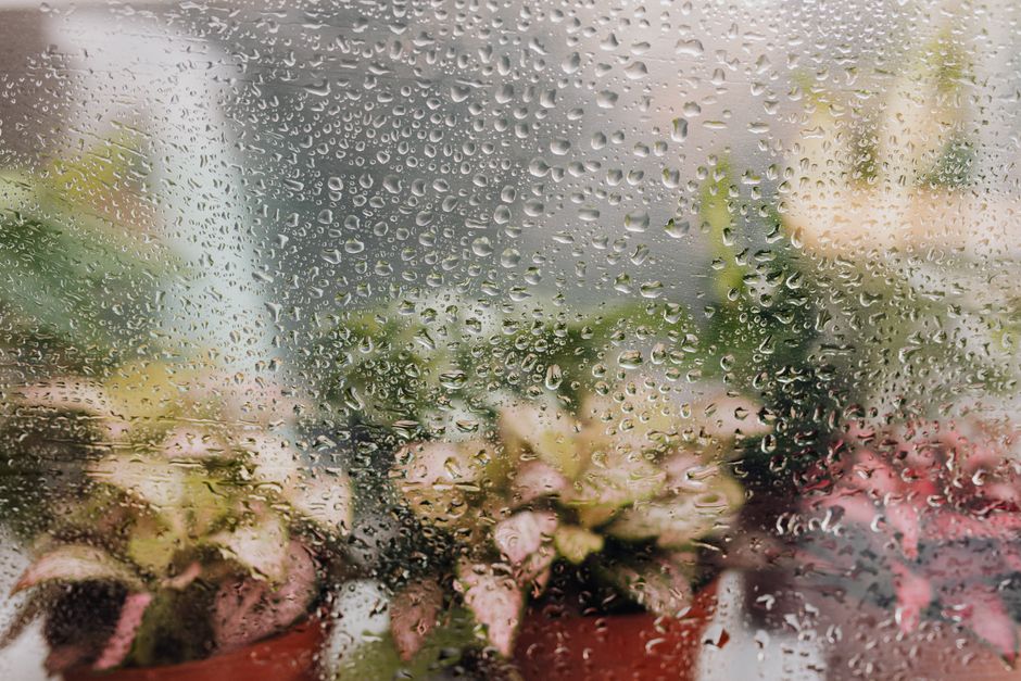 Jak radzić sobie z wysoką wilgotnością w domu latem bez klimatyzacji? Praktyczne metody chłodzenia i osuszania powietrza.
