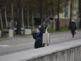 A child in winter clothes uses public binoculars in a park setting, showcasing curiosity and exploration.