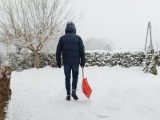 A person in a puffer jacket shoveling snow on a winter day with bare trees.