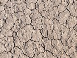 dried up soil