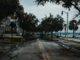 A flooded urban street with palm trees, buildings, and puddles, under a cloudy sky.