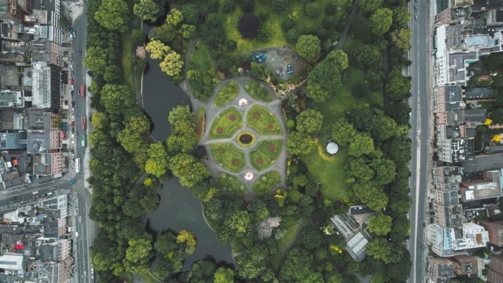 Zielone płuca miasta: Jak lasy i parki wpływają na lokalny mikroklimat i jakość powietrza?