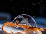 a glass ball sitting on top of a leaf